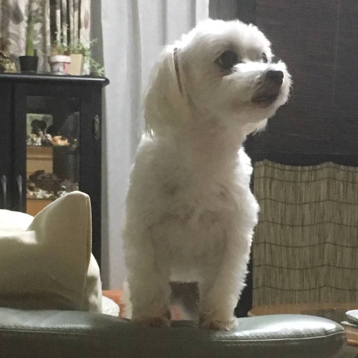 Bcbe75fa e857 4078 9524 e8c12660540f 1528371264696