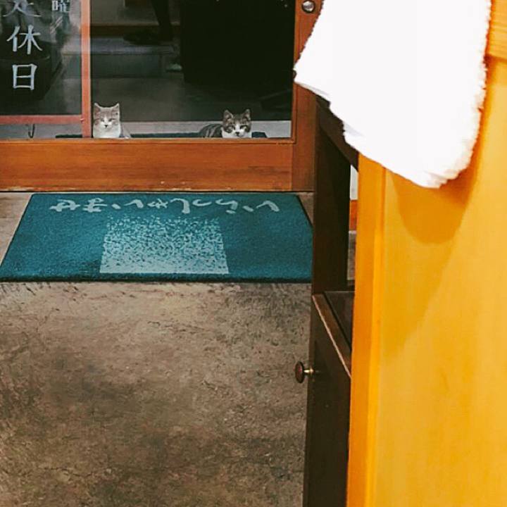 Bcbe889f 8123 4a08 827f caacb4bfd4eb 1520349087963