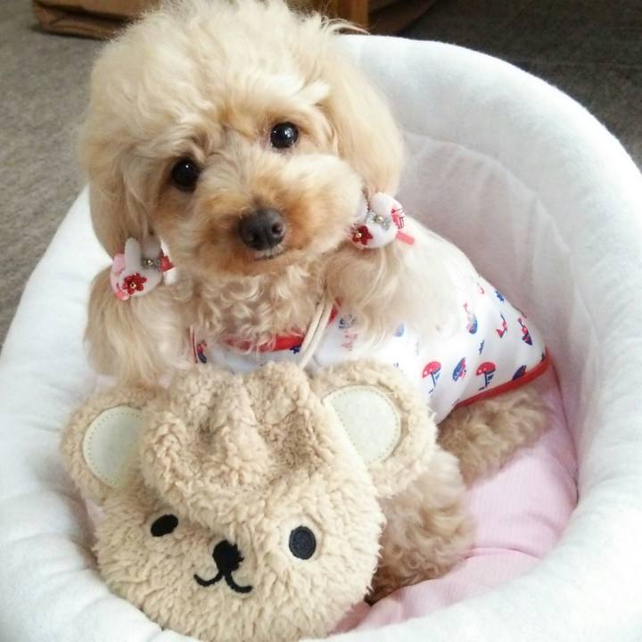 Bcbe89b5 2545 48a6 b3cf 8c3064f74c3a 1529119401494