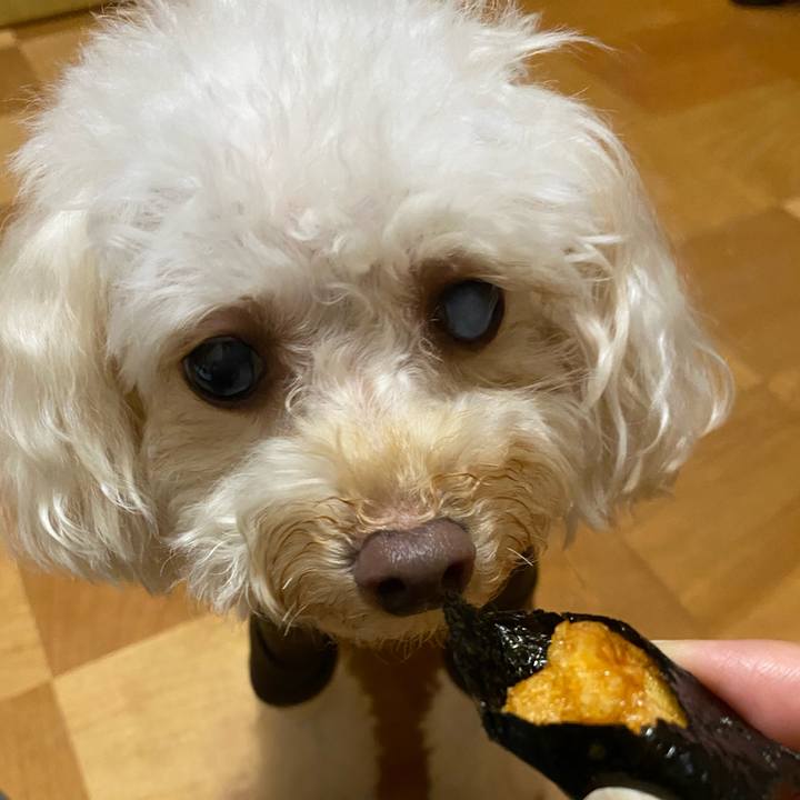 Bcbeebb4 6cd0 44c1 8f72 cb719f1e29f1 1630065887272