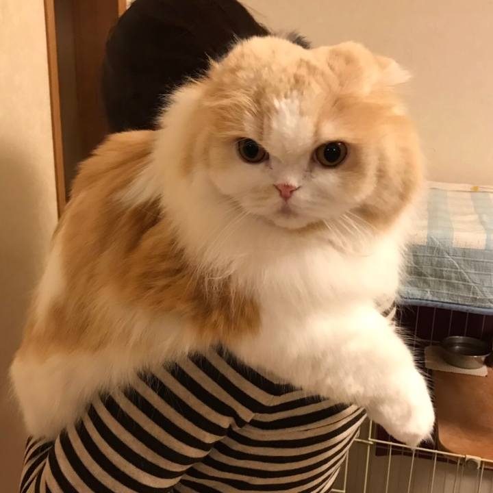 Bcbeed43 ba0c 41ae 846c 82e2a493f0d8 1554045523495