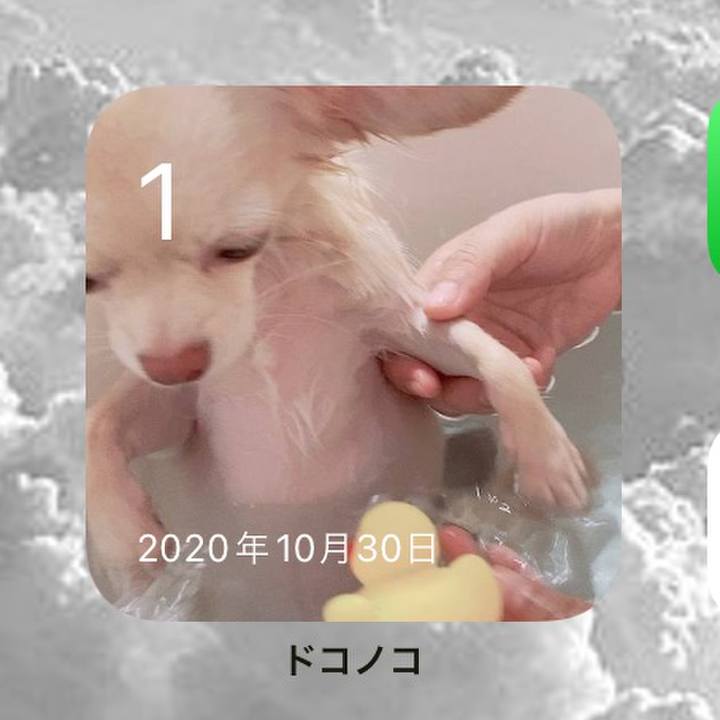 Bcbeefe2 2964 4de7 93af 8fbd3027445c 1635722315552