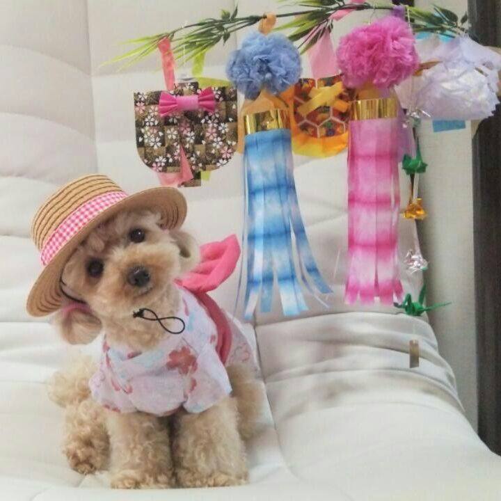 Bcbf2d5c c669 48f7 b5ba 5c50bab4204c 1530787364077