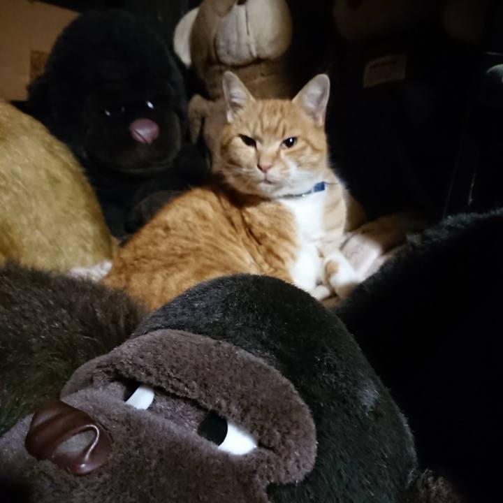 Bcbf5021 1a78 4346 ae7b 7878f03b9b65 1607340568529