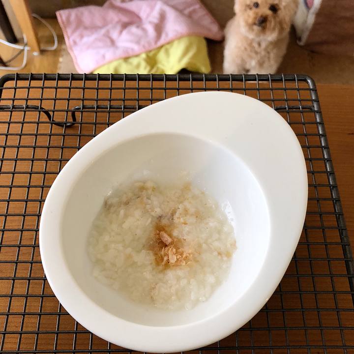 Bcbf96cf 6447 4b62 a8a7 24c27f6fd8cb 1529031828833