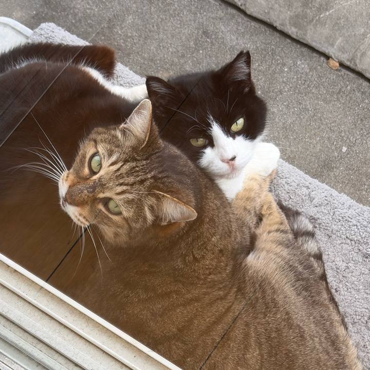 Bcc020c3 b297 4c2d 896c 08dd7e8e058b 1772175572680