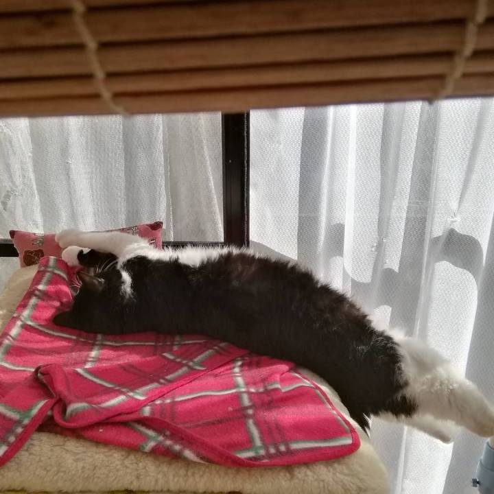 Bcc05c72 8dc2 40e2 8a69 b86d4b288f9d 1616486806384