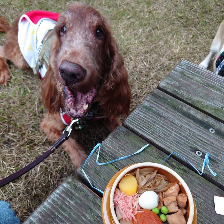 Bcc065e5 ea9a 4e4f 9dce 43f7488f1e9c 1663559608073