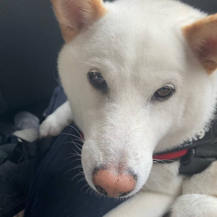 Bcc0a54d 2079 4219 a0e7 529f31e32838 1652095985591