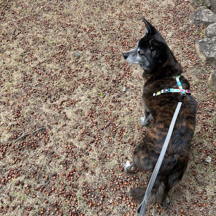 Bcc0a949 6f53 4439 9065 1c47f6fafe68 1769478903290