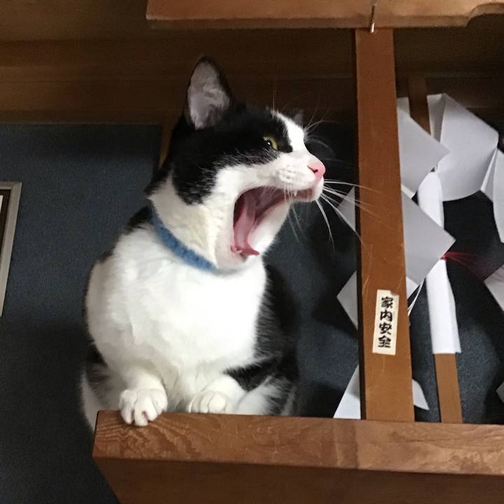 Bcc0c3ab 40ff 434d 81ff 5aac4b3e6a33 1735893360962