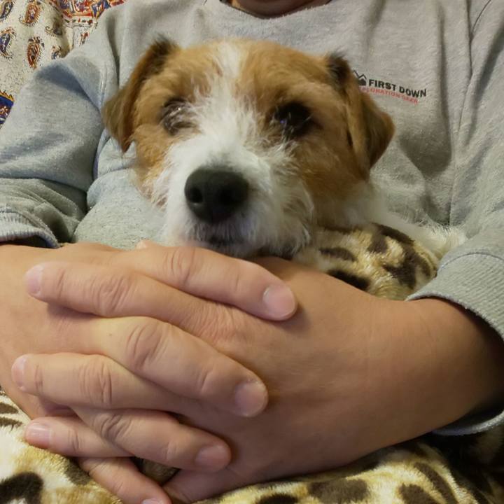 Bcc0cfd1 4052 4e0d bb38 03ae968d56ed 1576584118618