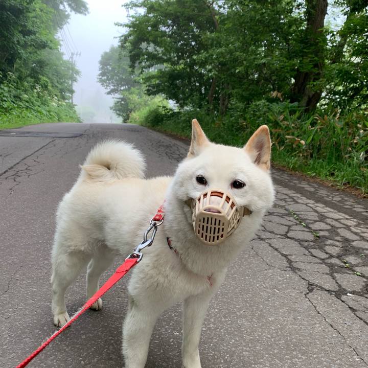 Bcc101c7 c60c 4e50 9555 9193abd5ae45 1559767352686