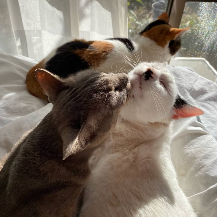 Bcc11d81 99e5 4539 8a4c 75f1af4fd3b5 1609660134671