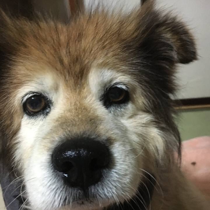 Bcc151ee 8129 4260 8e3a dcb7a63e2ae0 1611894486172