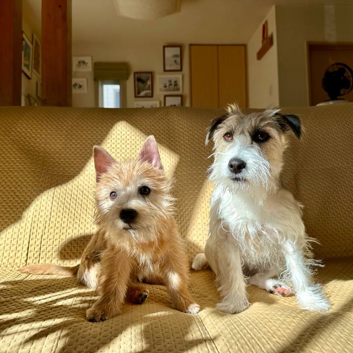 Bcc156a8 28c7 4a2d ab65 9677384939ff 1706267560670