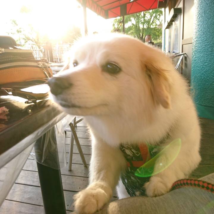 Bcc16ca6 5472 43aa b982 2034ffb69429 1525296311758