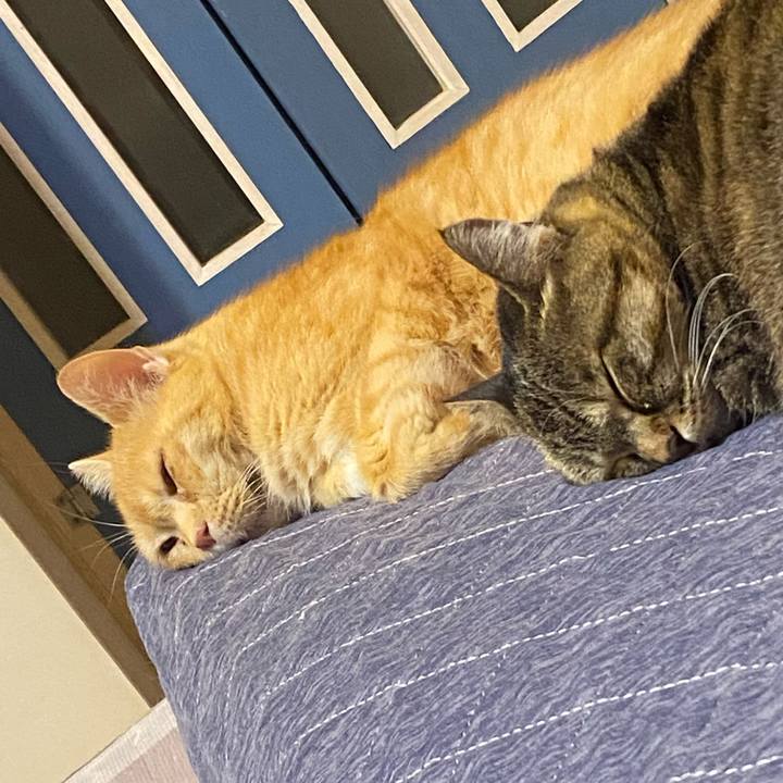 Bcc1b8d9 10d2 4725 85b0 2d2376d45226 1637338542442