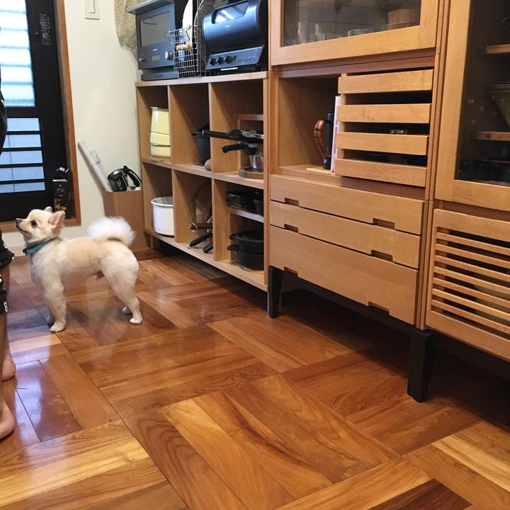 Bcc1b9b1 7cf1 4b8c 9385 4720e5f93028 1534584148679