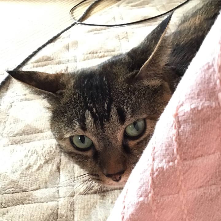 Bcc1dc06 4302 4cda a3d6 28660c942894 1669599210785