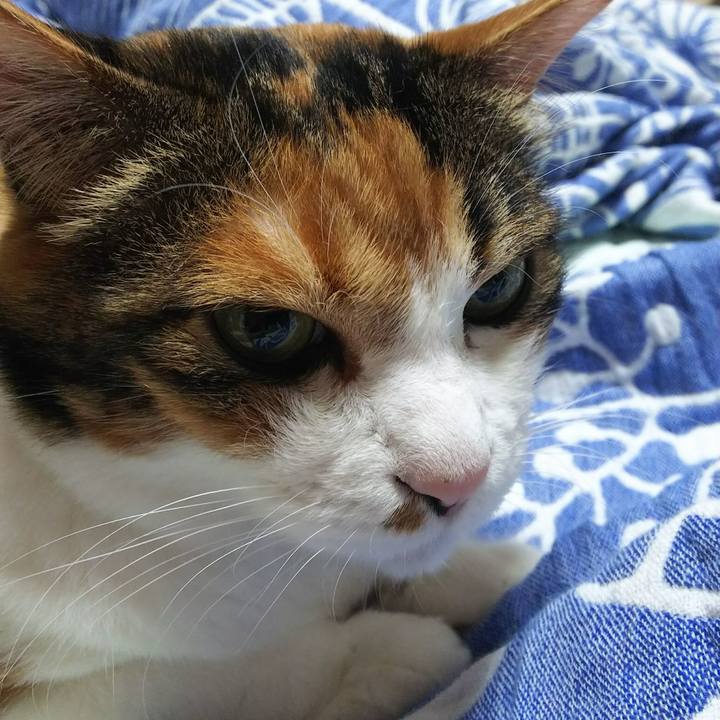 Bcc23786 e632 4e78 8f19 c6edf9a88e68 1534715002051