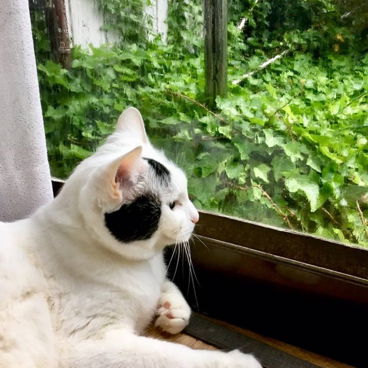 Bcc23d06 5e66 40dd 9d02 85865f3f81d3 1558388236831