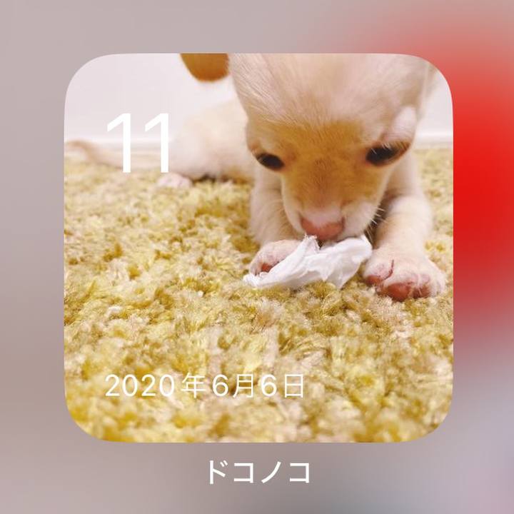 Bcc2449f 956d 4999 97e6 439afc5a3234 1718092460520