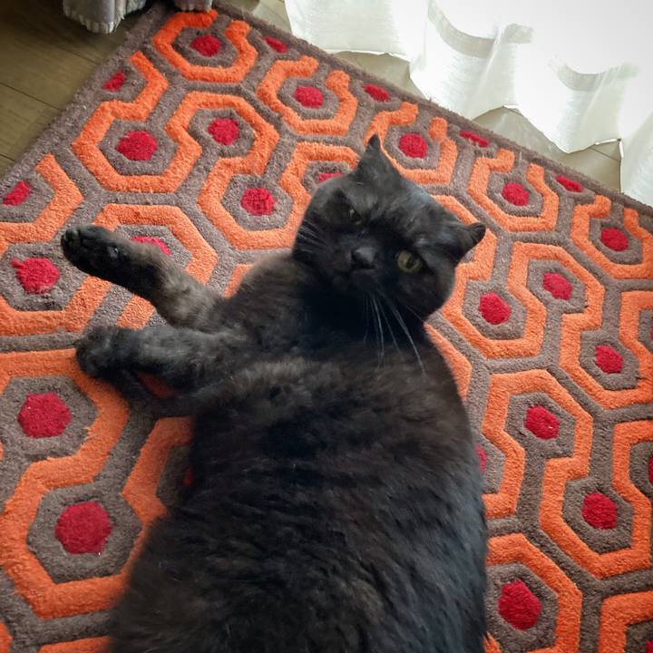 Bcc25af0 3302 4ab9 bc6a 3100a819f58e 1609927577127