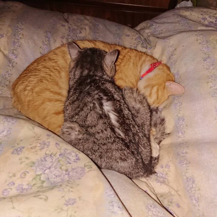 Bcc279f9 fcb9 4e63 8198 559ab6626f7a 1579703239874