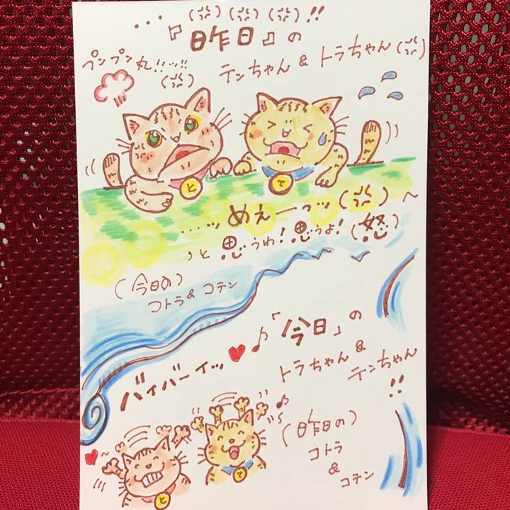 Bcc29a7b 1d92 4e2f 8793 d50d00313290 1558551596635