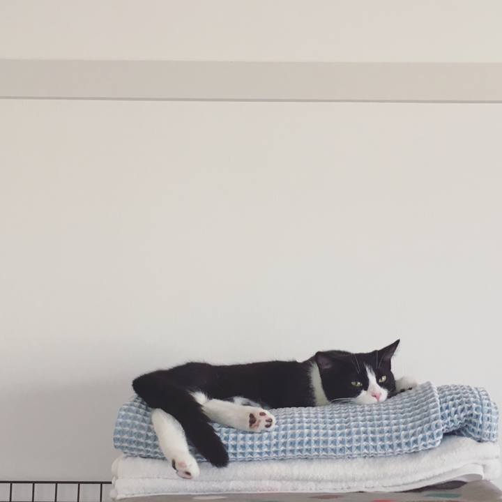 Bcc2efae 86a4 413a 8c5b 199c7e9f43b6 1529887792628