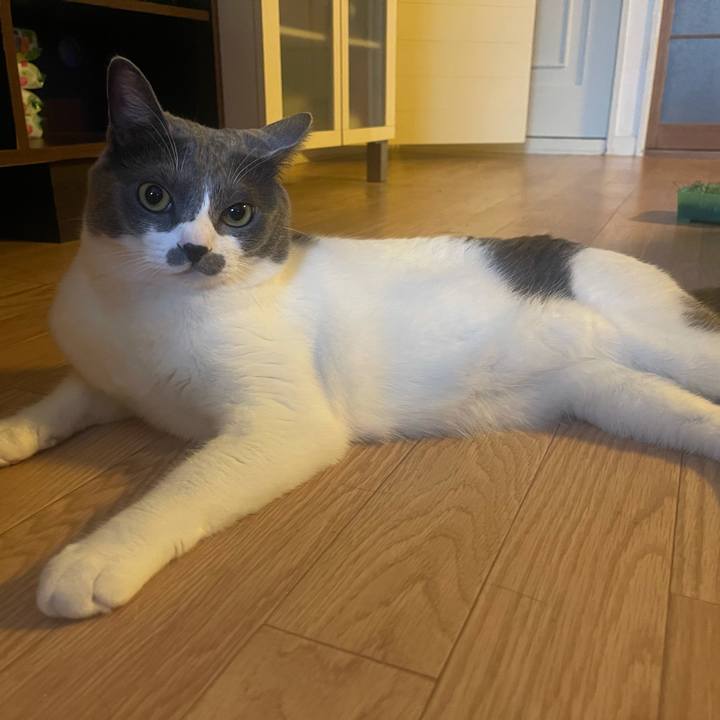 Bcc300e9 8bad 486e af23 6ead4c903643 1627548618412