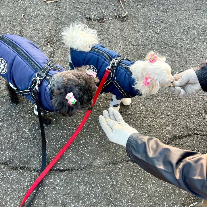 Bcc3040c 33fa 4fd4 8267 8c6afd948359 1771497098314