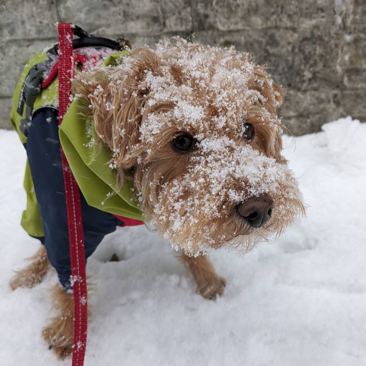 Bcc324d2 d3e8 4403 abf3 bc55bb444fd6 1709713932261