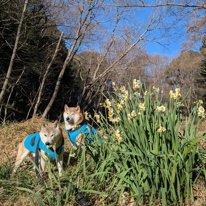 Bcc33a92 1a55 40ad 9579 827027b72afc 1769919013892