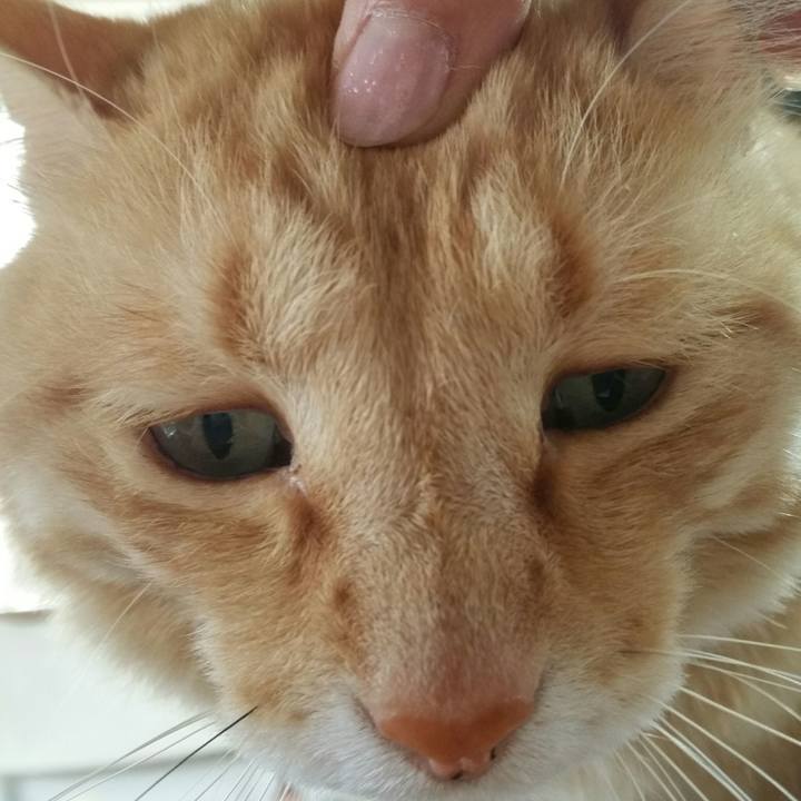 Bcc3534c 8236 4051 aa96 f20de2098e9d 1559348894565