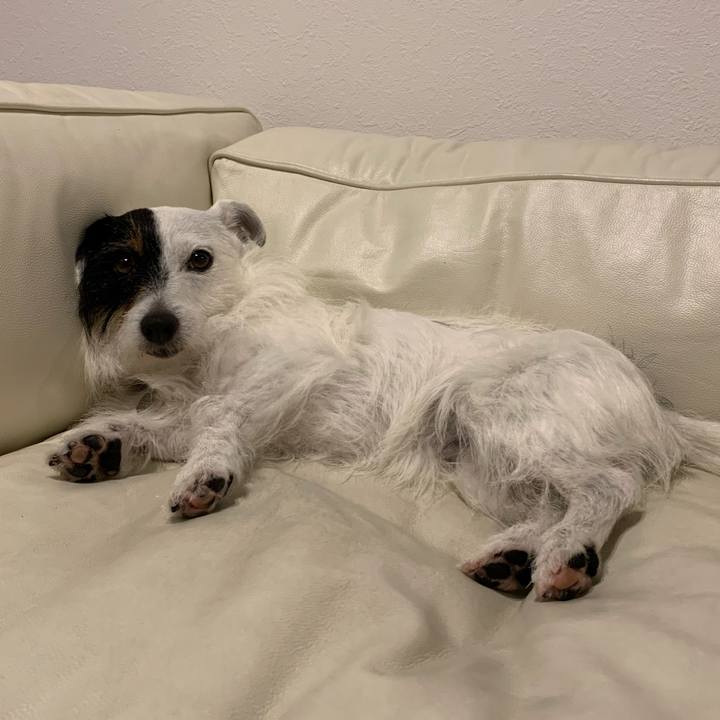 Bcc36265 4635 46b8 ba5e 62a0c9f95e8e 1592225062008