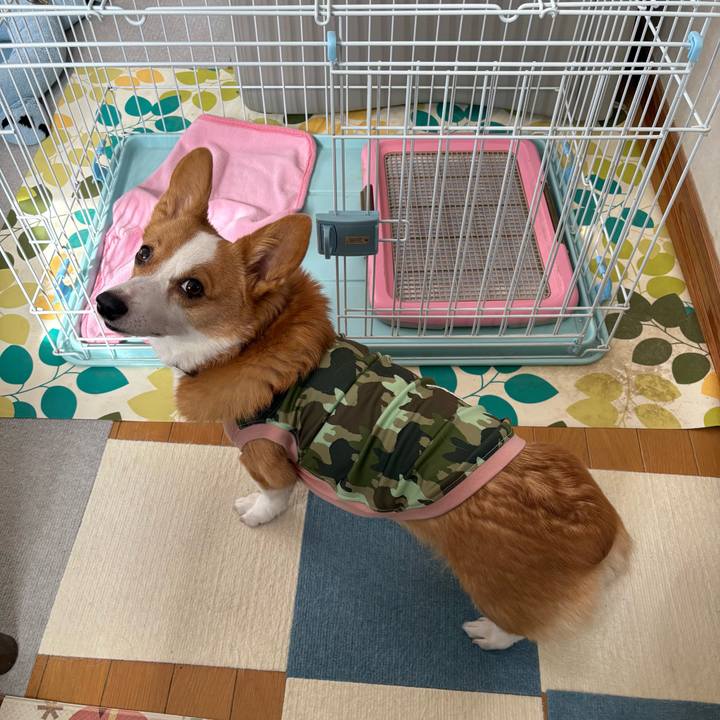 Bcc36663 2c9c 4307 afb1 779013779607 1771560211225