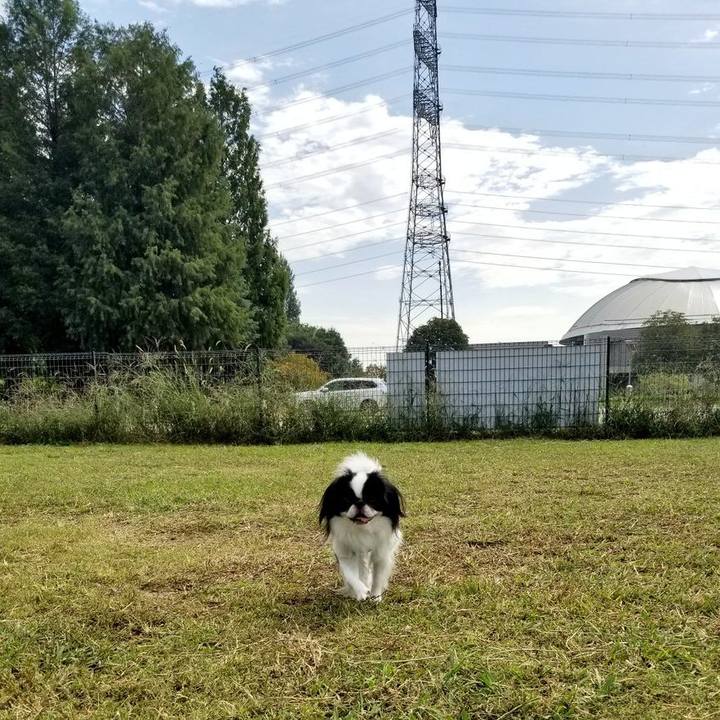 Bcc374a4 d474 4b05 9dbf 2e0c233eaaec 1664883520160