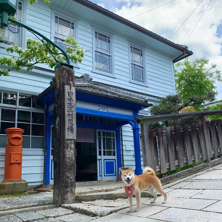 Bcc3896b 6920 4112 a1a6 455f1c9f4ac7 1684236104892