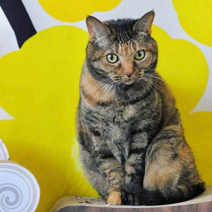 Bcc38f2c 7153 4a15 ad2e c97abab9e3a1 1670041246999