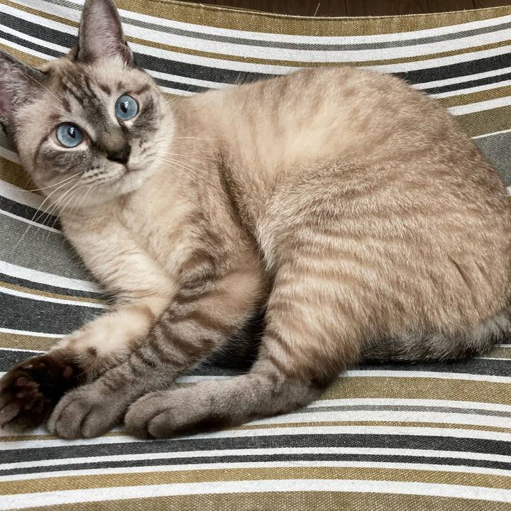 Bcc3ca5d f5b8 4871 9bfe 1eedd87892a8 1660783097872