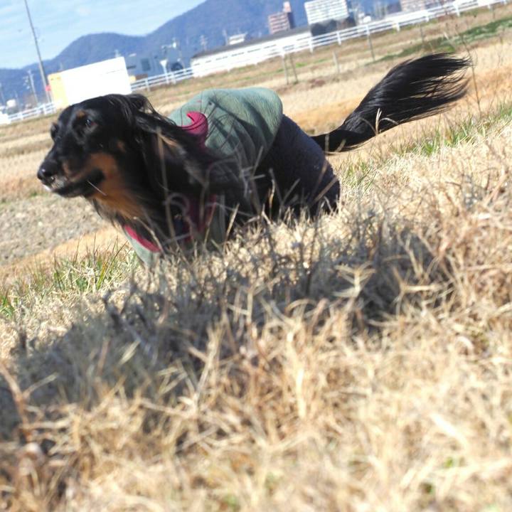 Bcc40bf3 eb04 4947 a640 2354e74dc731 1580625786582