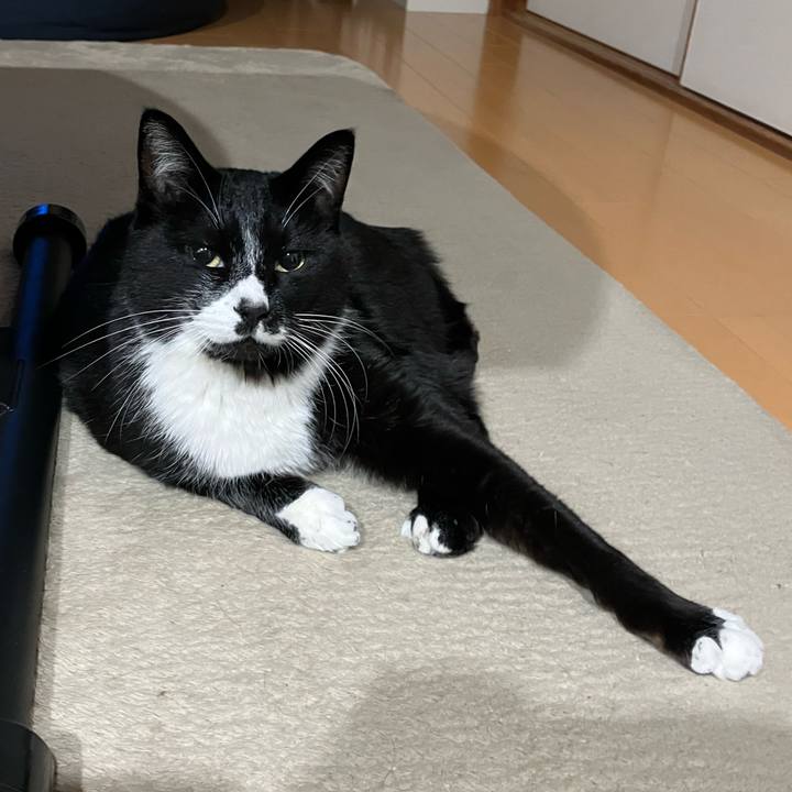 Bcc42dd3 bf31 4da3 93a3 882a5e5579a3 1710127380912