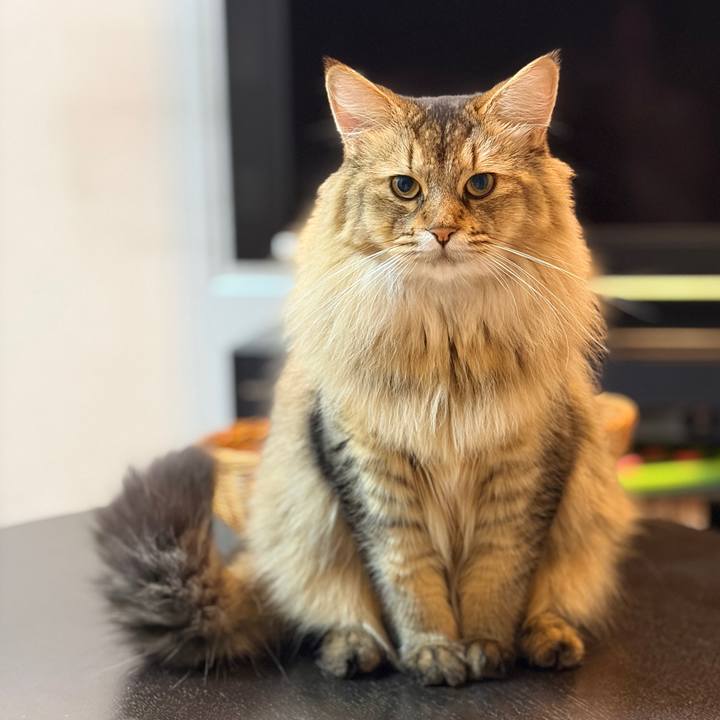 Bcc43bf1 310c 40c0 a2a1 ecb8fa013476 1759238345367