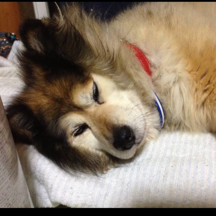 Bcc47257 e905 4ab8 adf2 3ec09c07153e 1551274583115