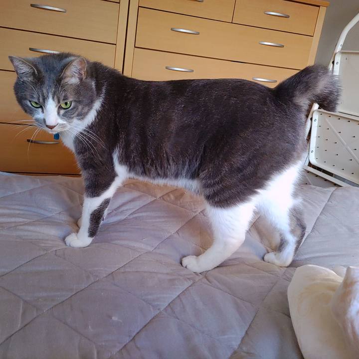 Bcc4798b 497f 4323 ac64 050efef27226 1689631765231