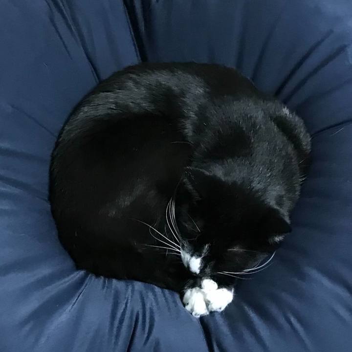 Bcc495a5 bd72 4116 a50c c6476d173938 1675395225279