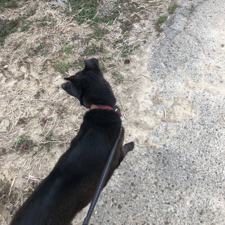 Bcc4a75d b793 4413 b9be 72835e6bd4c0 1552719093078