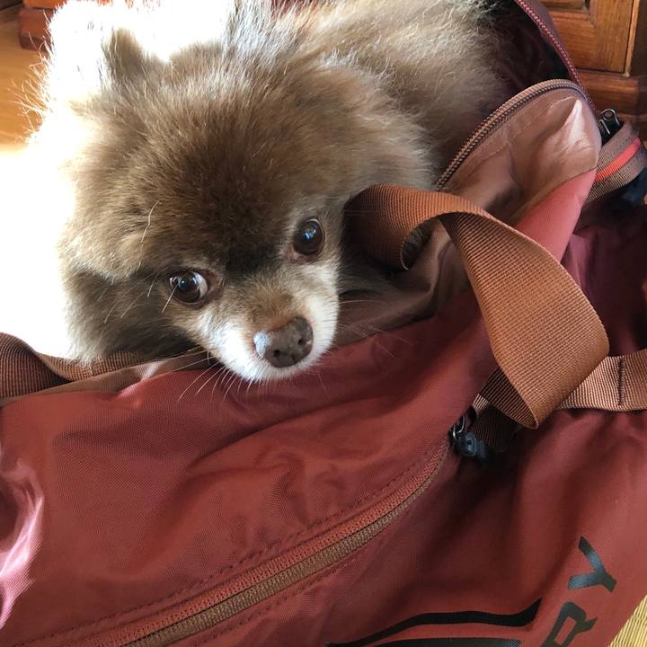 Bcc4d300 a28a 4f9f 9679 6d13e0d5d9f4 1636245974172